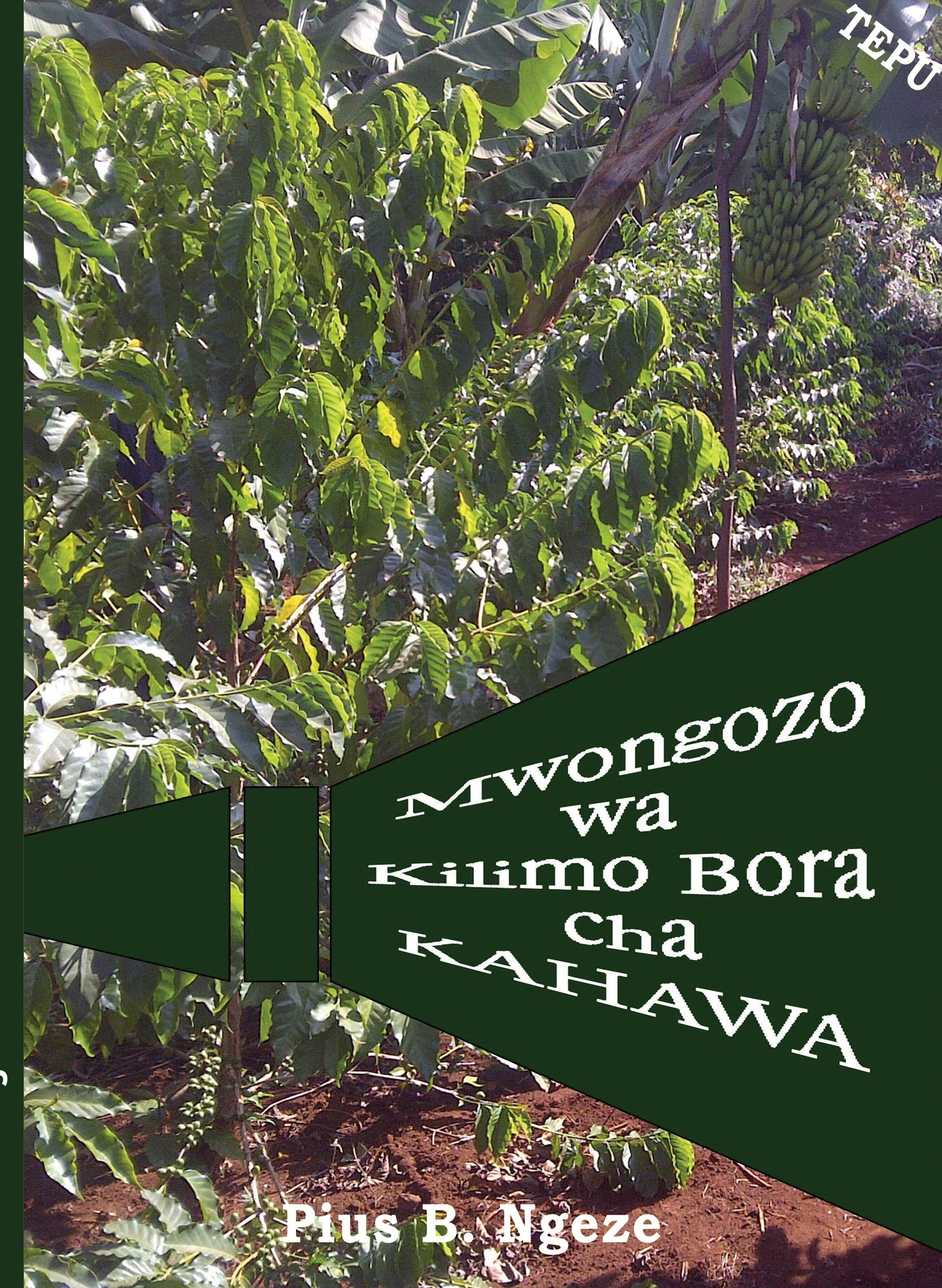 MWONGOZO WA KILIMO BORA CHA KAHAWA